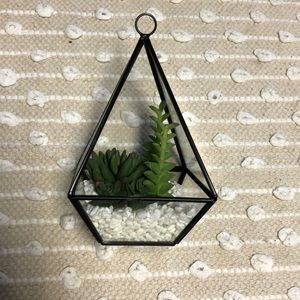 Faux terrarium